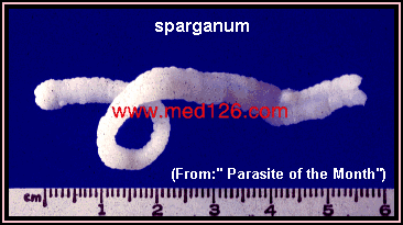 sparganum.gif (35283 ֹ(ji))